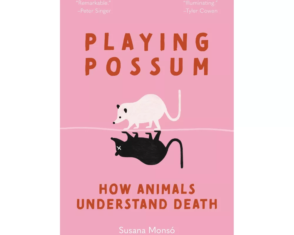 Playing Possum