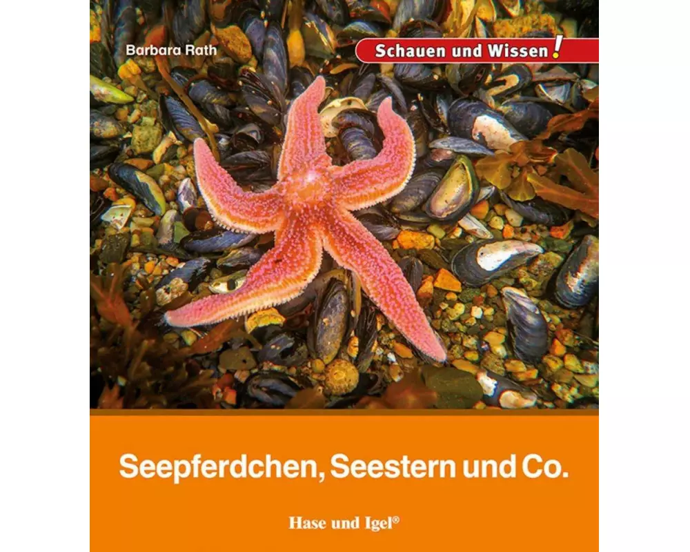 Seepferdchen, Seestern und Co