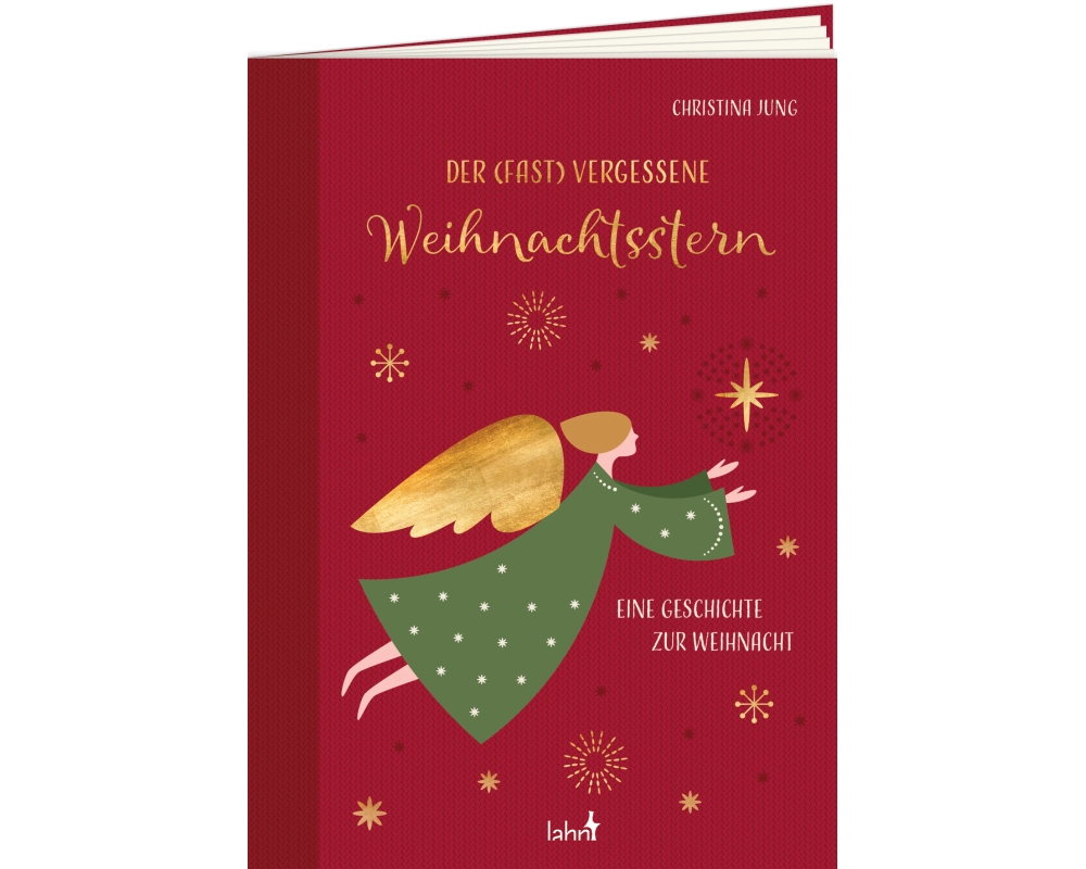Der fast vergessene Weihnachtsstern
