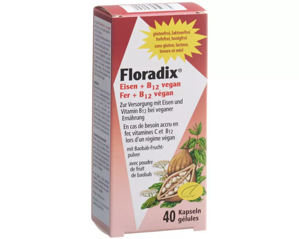 Floradix Eisen + Vitamin B12 vegan 40 Kapseln