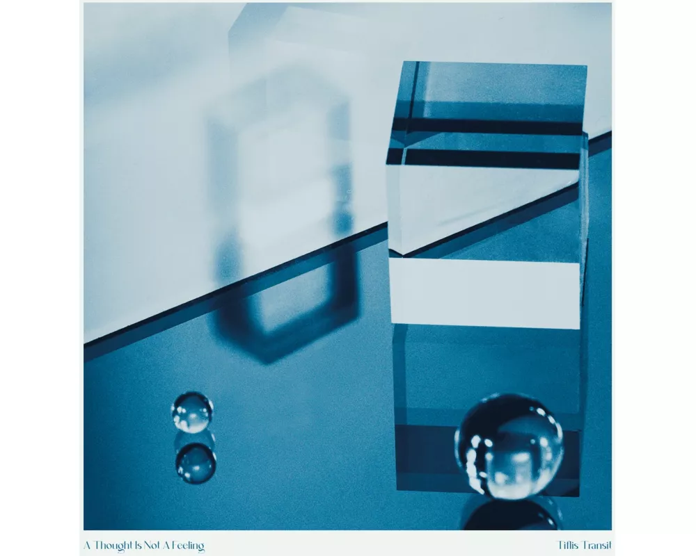 A Thought Is Not A Feeling