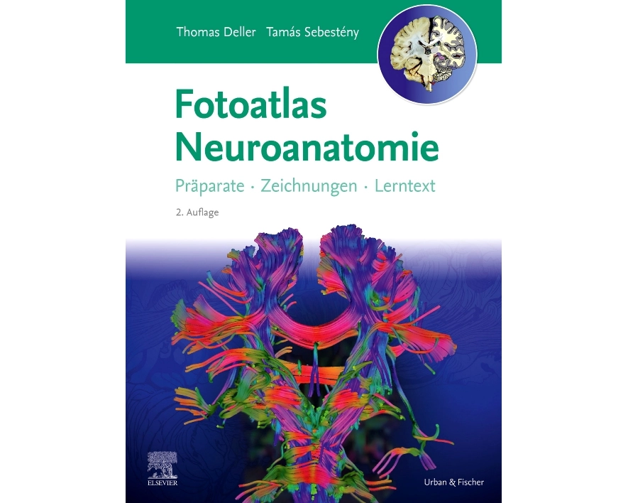 Fotoatlas Neuroanatomie