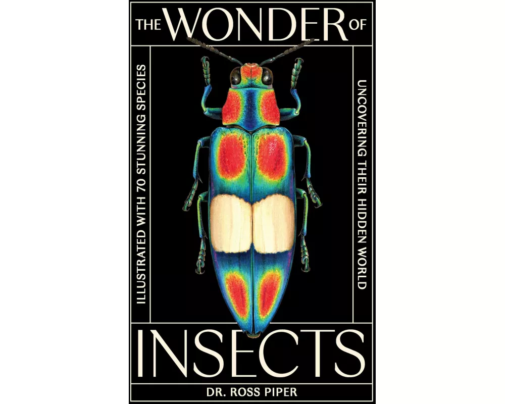 The Wonder of Insects: Uncovering their Hidden World