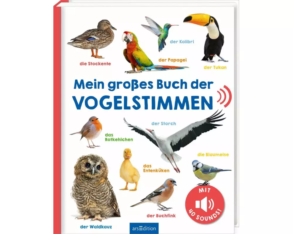 Mein großes Buch der Vogelstimmen