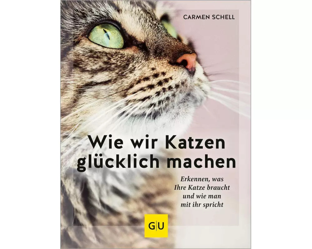 Wie wir Katzen glücklich machen