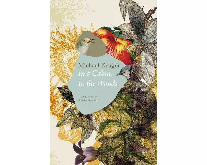 In a Cabin, in the Woods