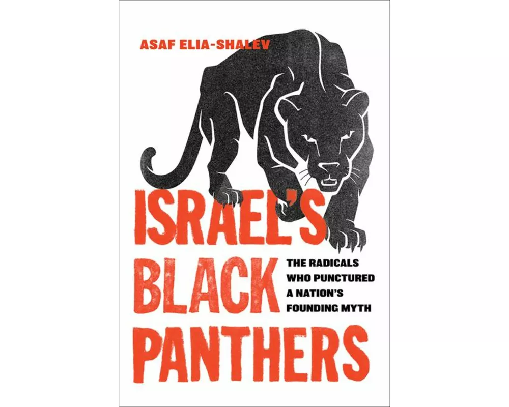 Israel's Black Panthers