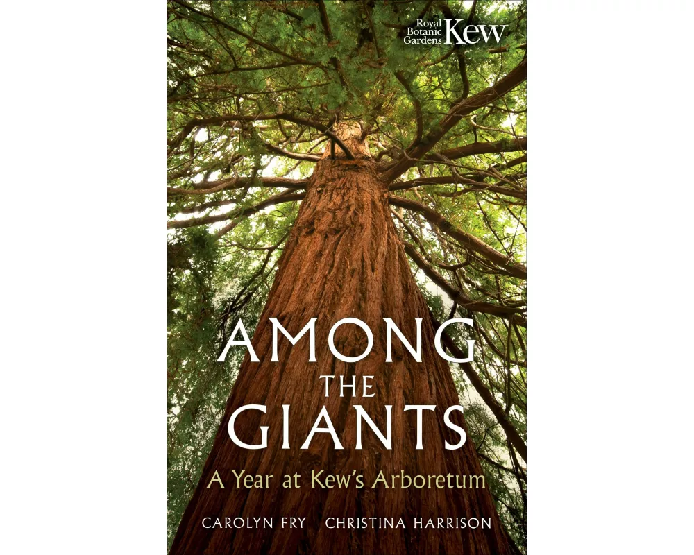 Among the Giants