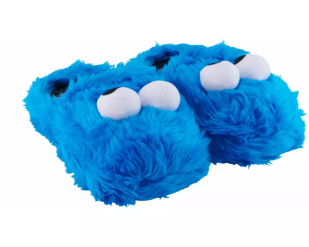 slipper - Cookie Monster