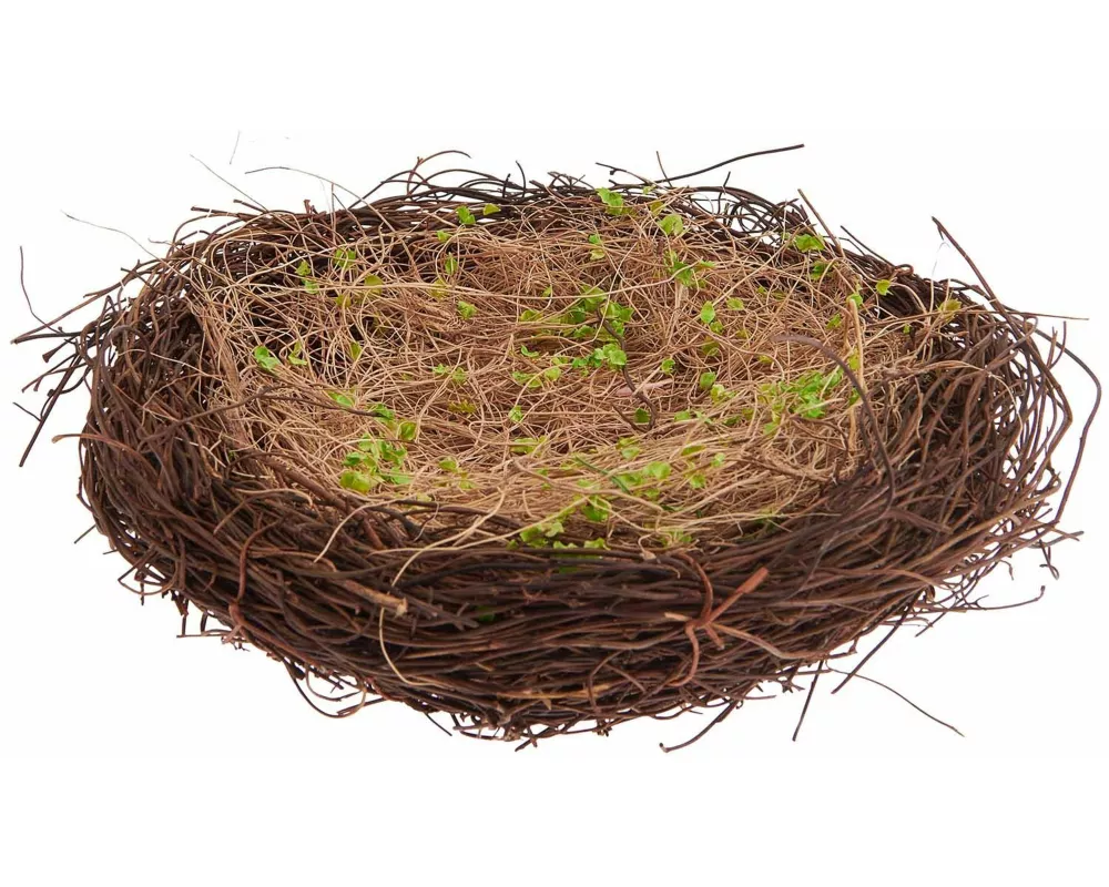 Naturnest mit Gras, Ø=20cm