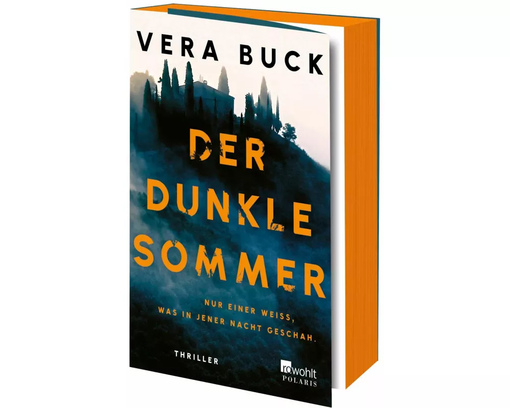 Der dunkle Sommer