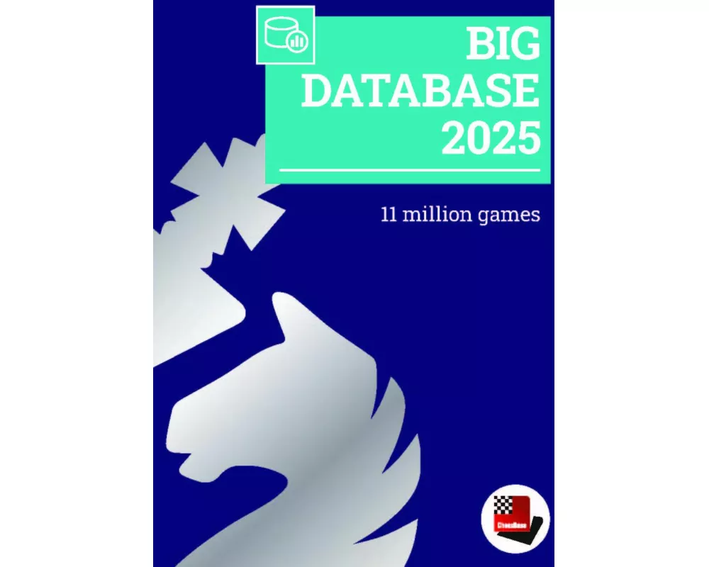 Big Database 2025