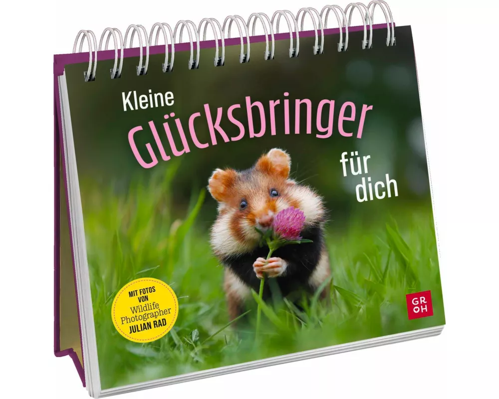 Kleine Glücksbringer für dich