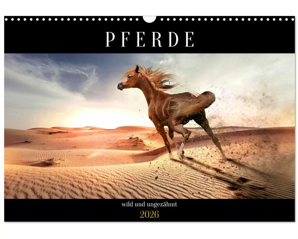 Pferde - wild und ungezähmt (Wandkalender 2026 DIN A3 quer), CALVENDO Monatskalender