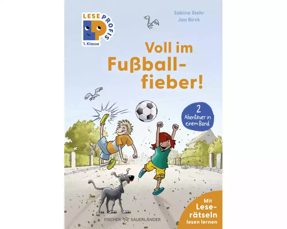 Leseprofis – Voll im Fußballfieber!, 1. Klasse (Doppelband)