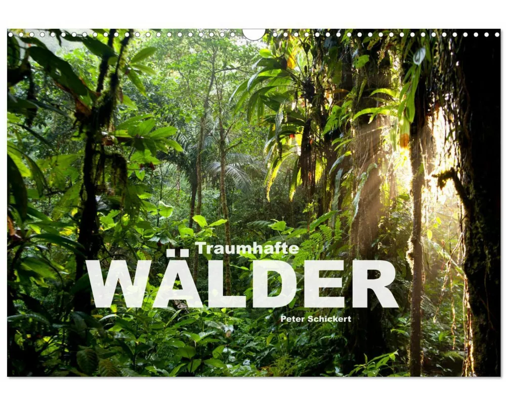 Traumhafte Wälder (Wandkalender 2026 DIN A3 quer), CALVENDO Monatskalender