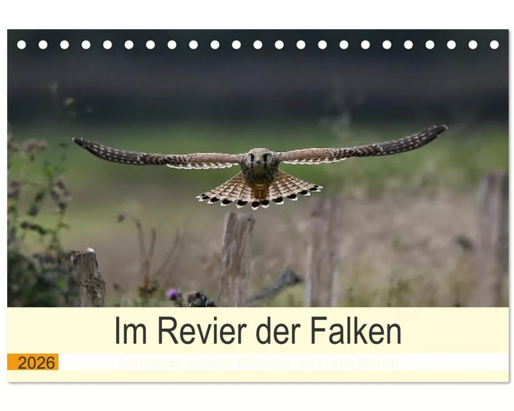 Im Revier der Falken (Tischkalender 2026 DIN A5 quer), CALVENDO Monatskalender
