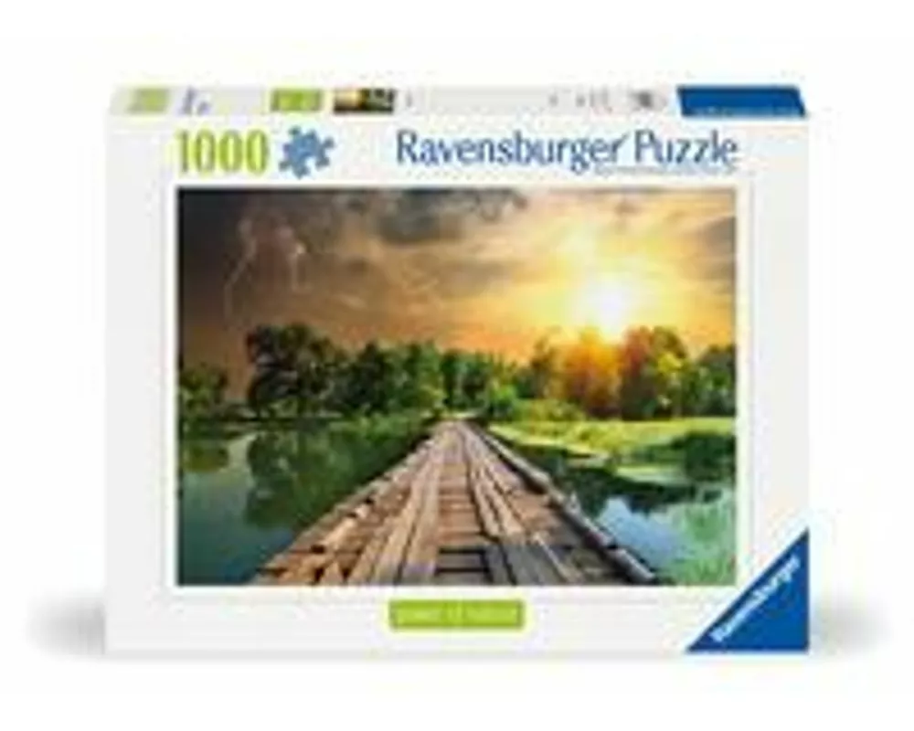 Erwachsenenpuzzle 1000 Teile - Mystisches Licht