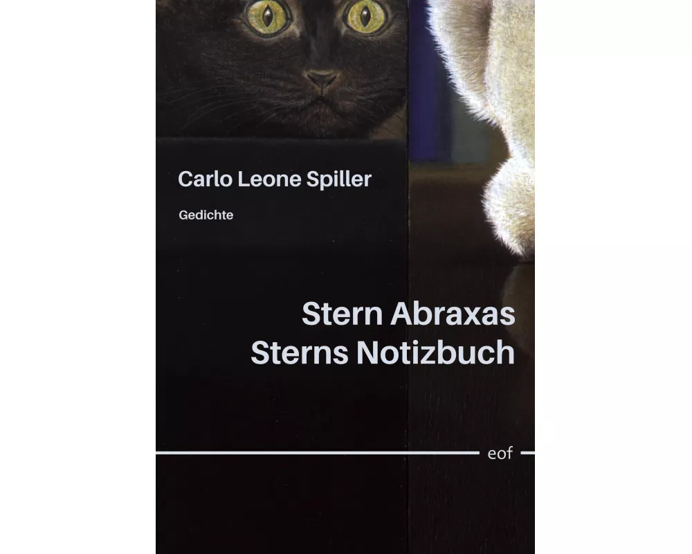 Stern Abraxas Sterns Notizbuch