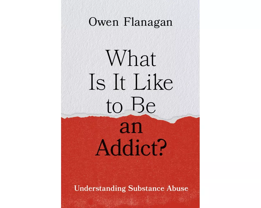 What Is It Like to Be an Addict?