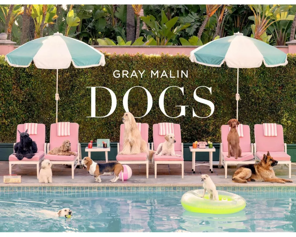 Gray Malin: Dogs