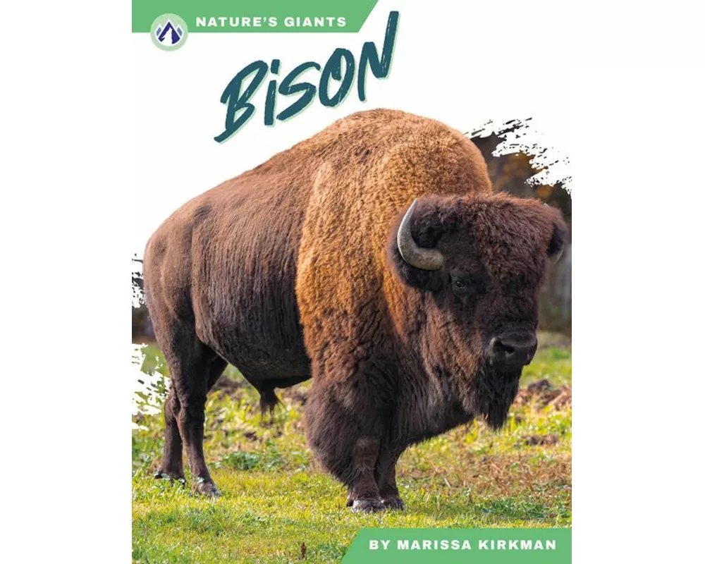 Bison