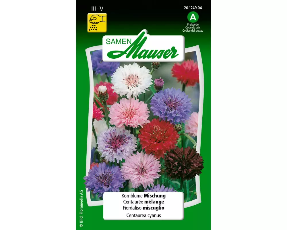 Samen Mauser Saatgut Kornblume Mischung