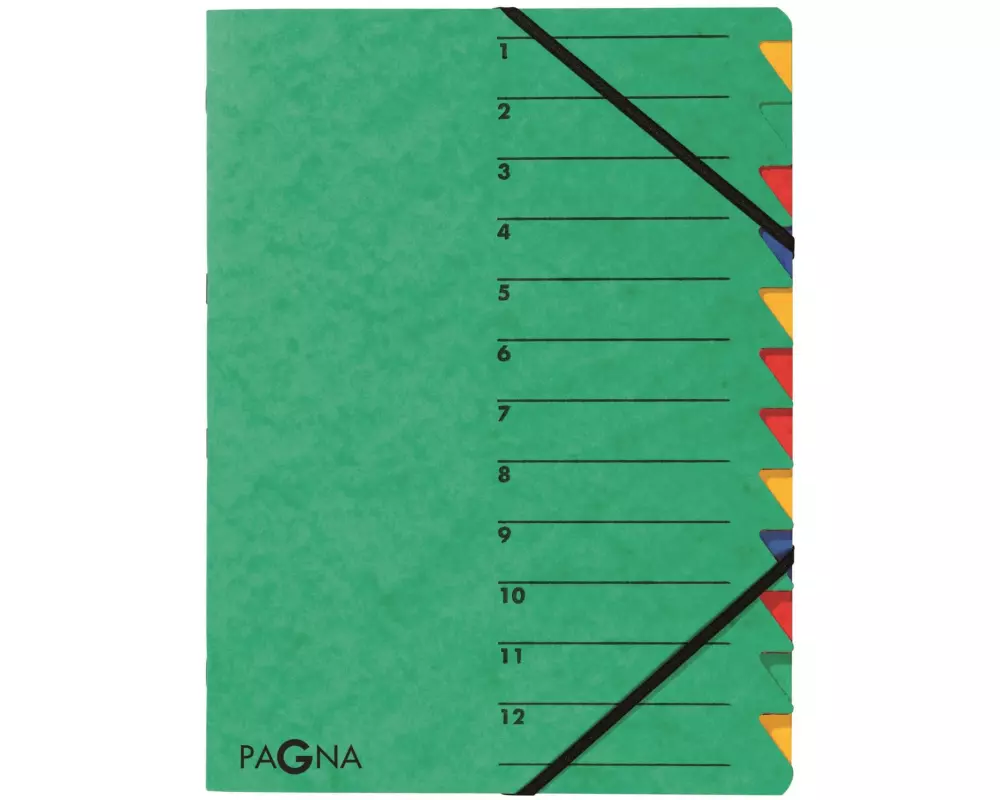 Pagna Ordnungsmappe Easy A4 Grün