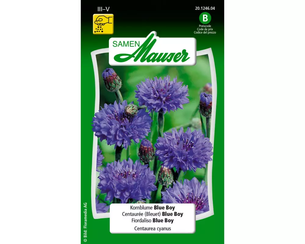 Samen Mauser Saatgut Kornblume Blue Boy