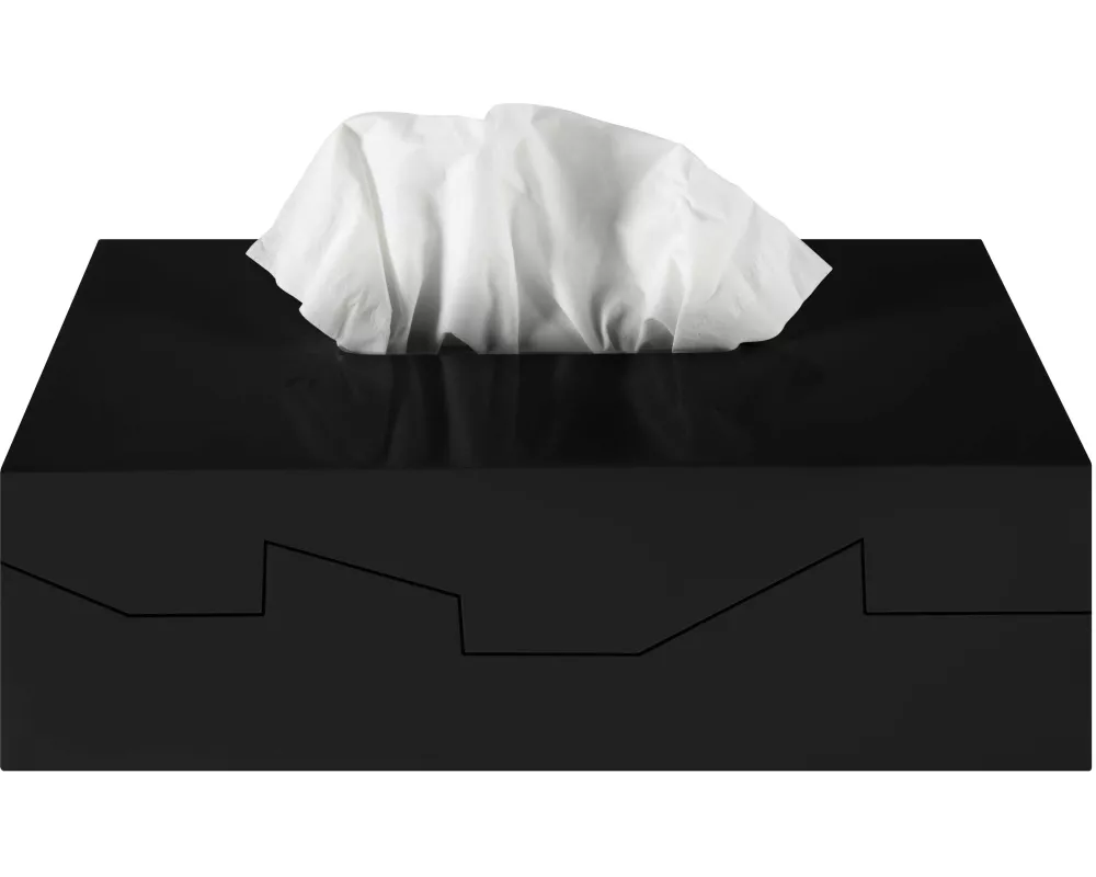 spirella Kosmetiktuchbox Silhouette Schwarz, Kunststoff