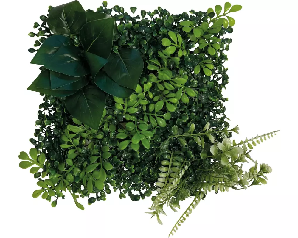 Repto Pflanzenrückwand Deco 2, 25 x 25 cm