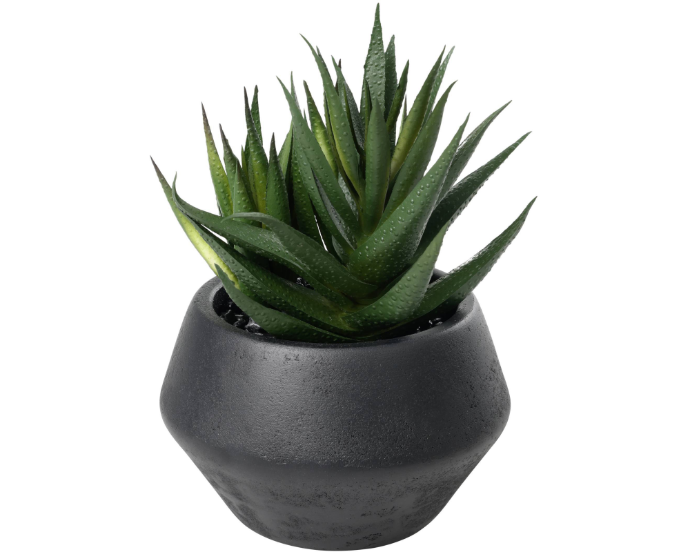 EGLO Kunstpflanze 17.5cm 428491 grün, im Topf