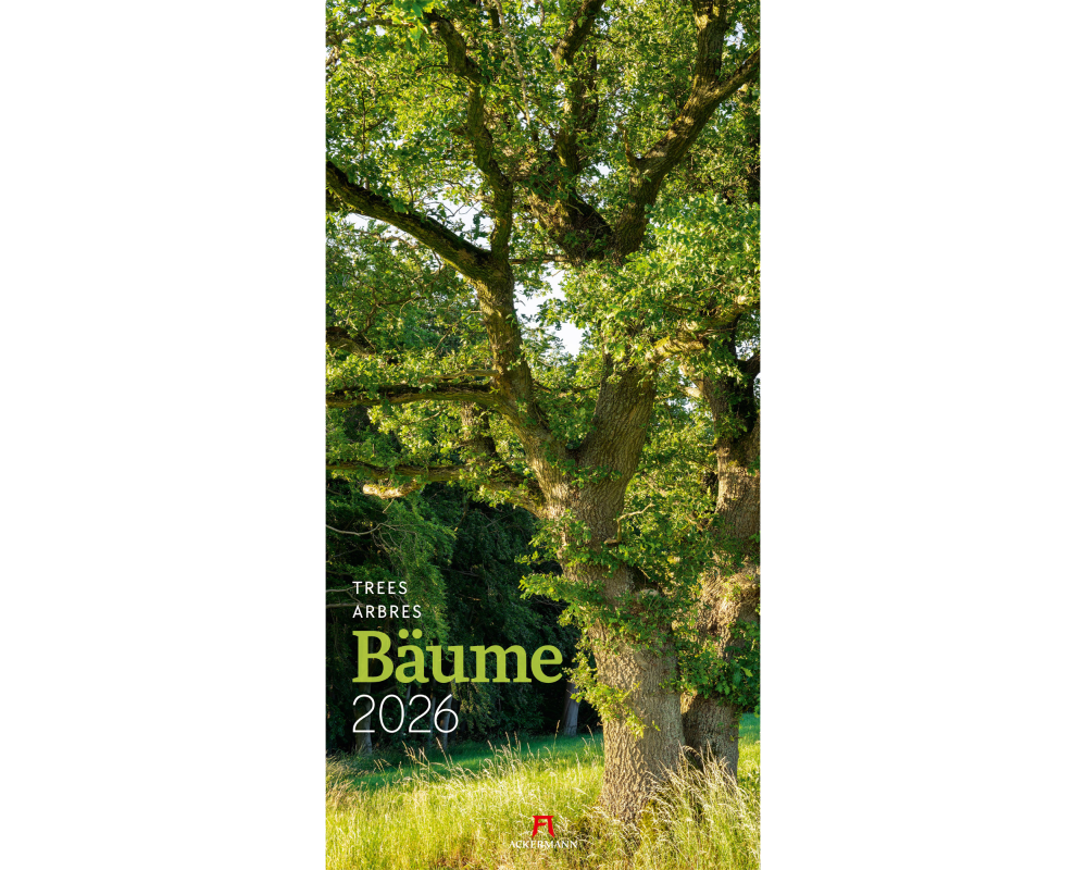 ACKERMANN Bildkalender 2026 2620 Bäume ML 33x66cm