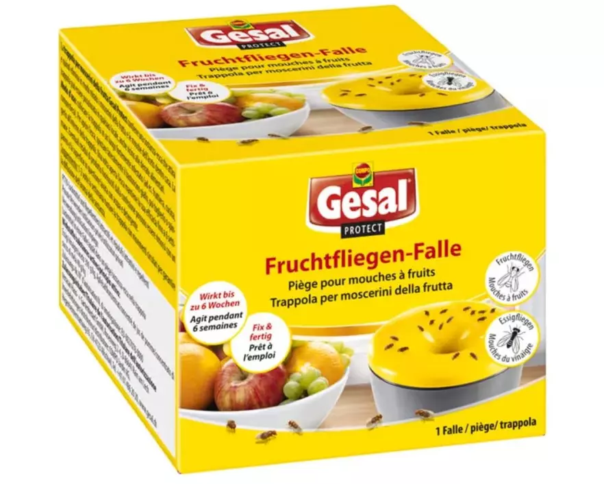 Gesal Protect Fruchtfliegen-Falle 1 Stk