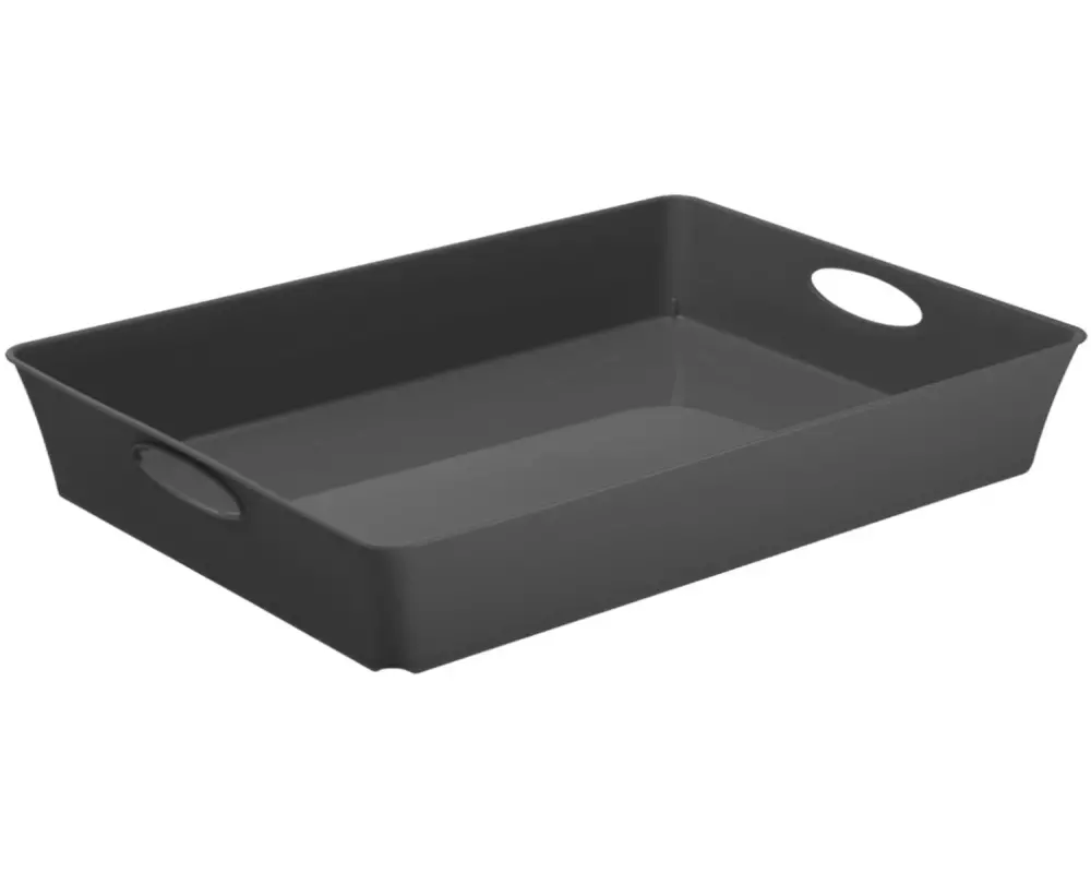 Rotho Aufbewahrungsbox Living Box C4 / 4.5 l Anthrazit