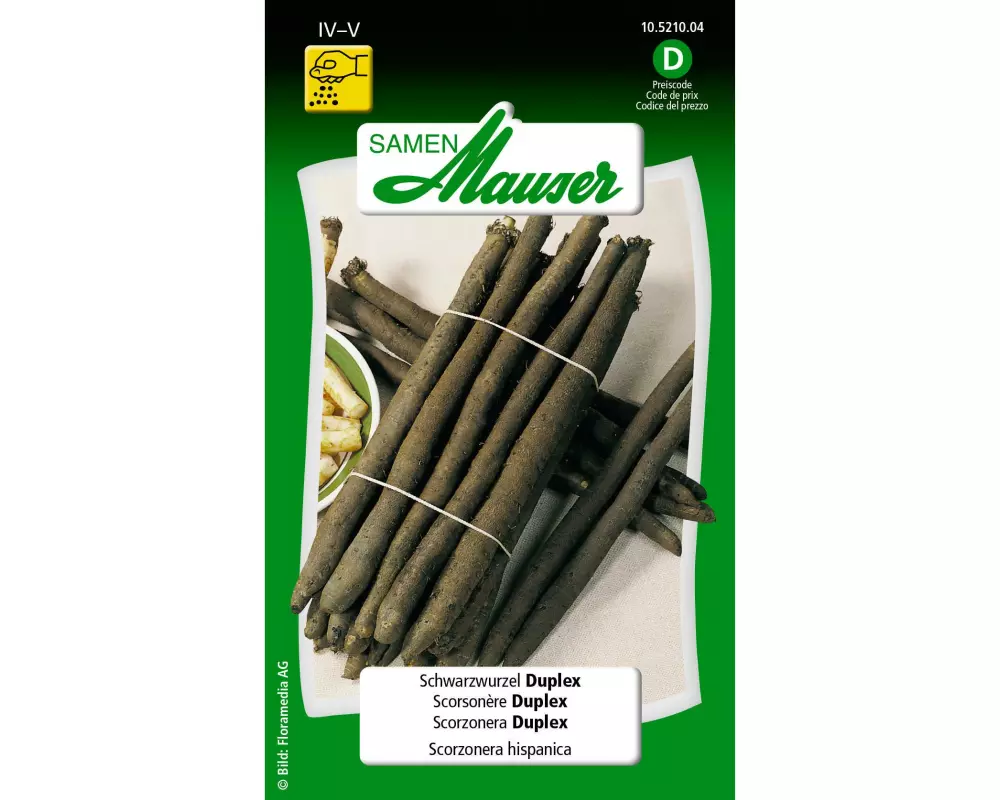 Samen Mauser Samen Schwarzwurzel Duplex
