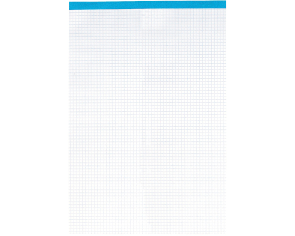 ELCO Notizblock Office A4 73411.17 kariert, 65g 100 Blatt