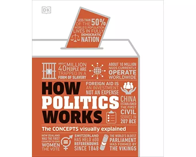 How Politics Works
