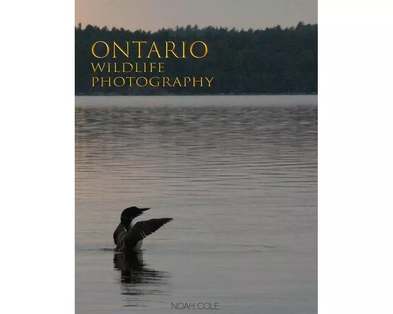 Ontario Wildlife Photography