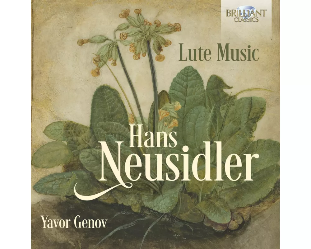 Neusidler:Lute Music