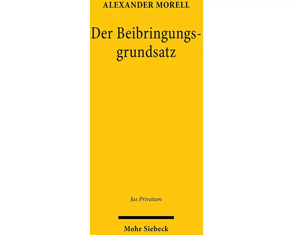 Der Beibringungsgrundsatz