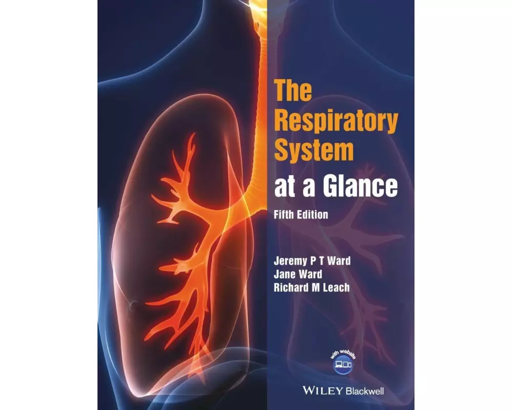 The Respiratory System at a Glance