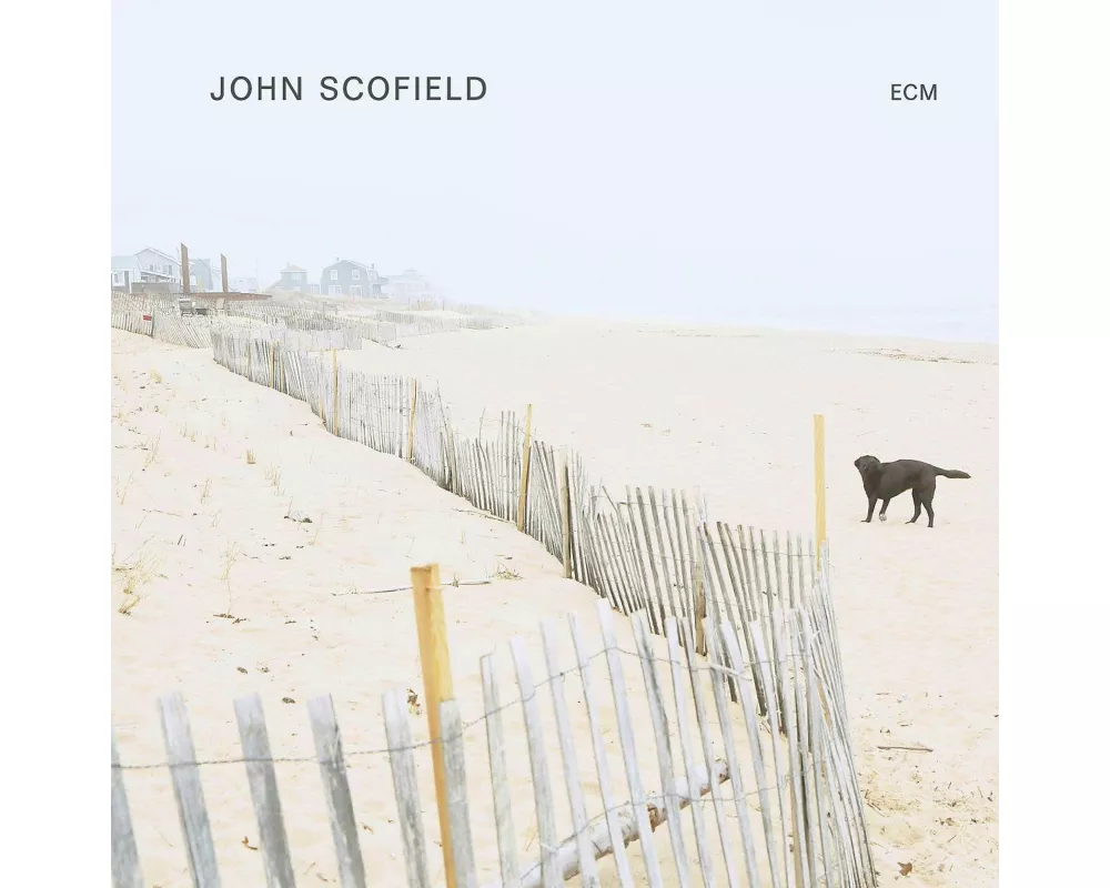 John Scofield