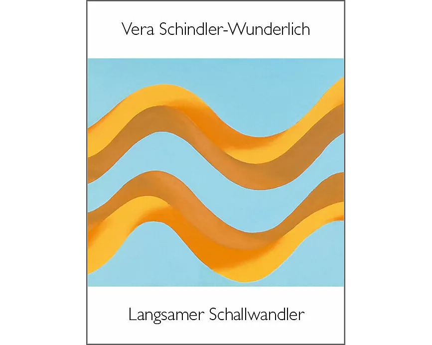 Langsamer Schallwandler