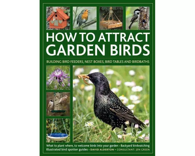 How to Attract Garden Birds