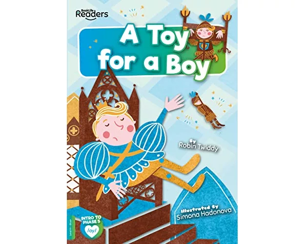 A Toy for a Boy