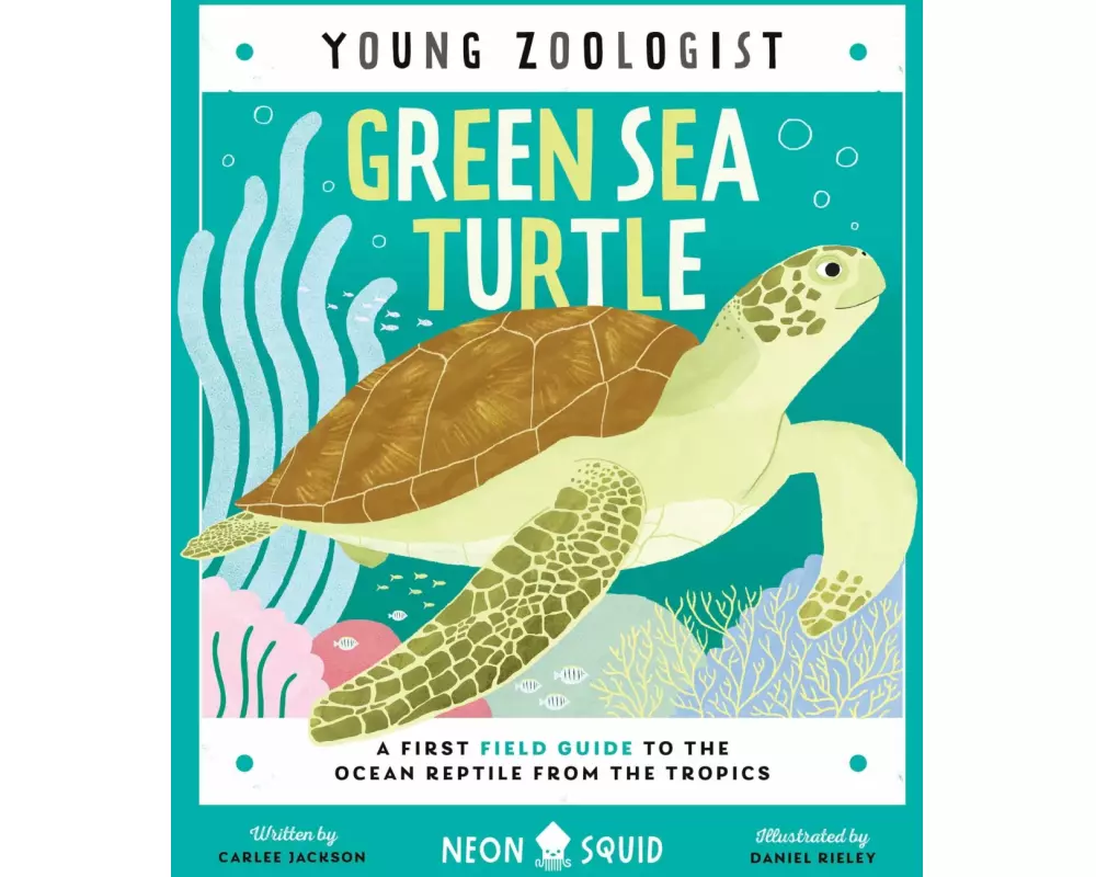 Green Sea Turtle (Young Zoologist)