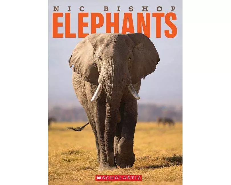 Nic Bishop Elephants