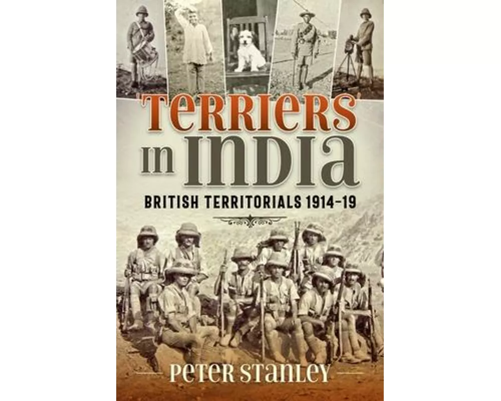 Terriers in India