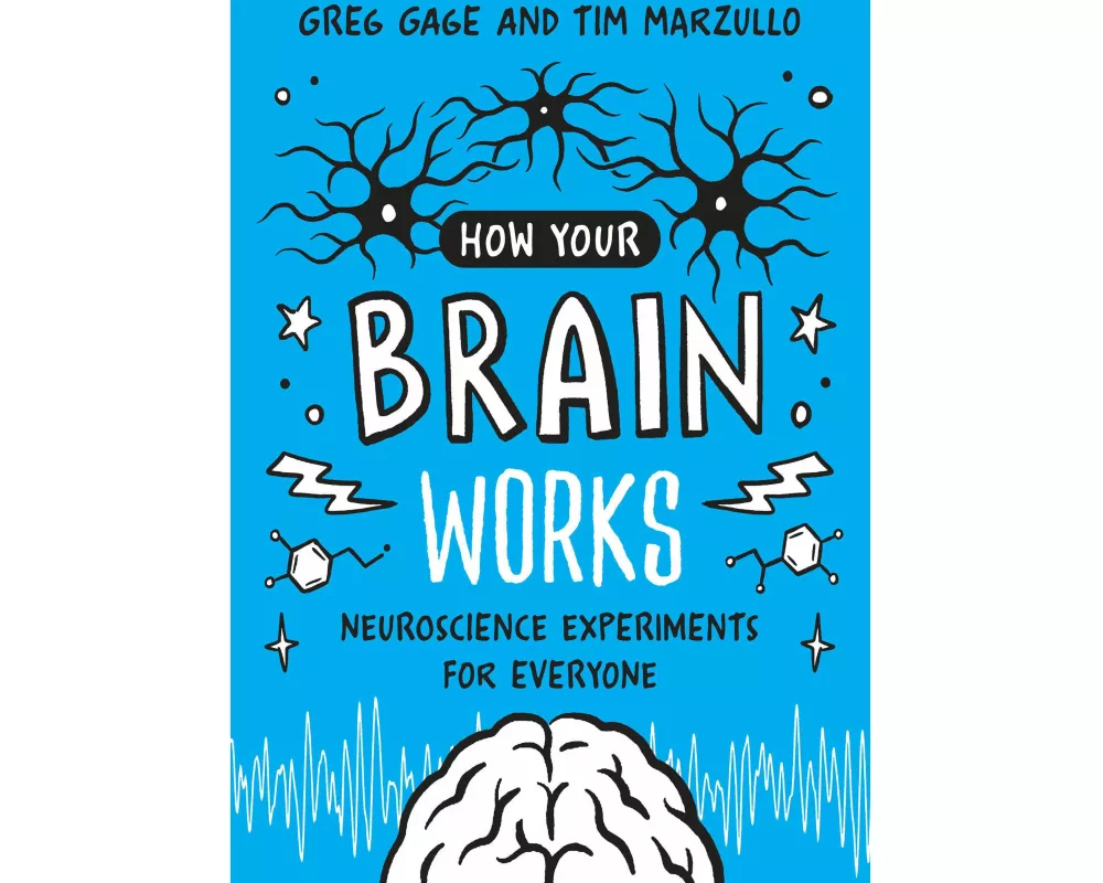 How Your Brain Works